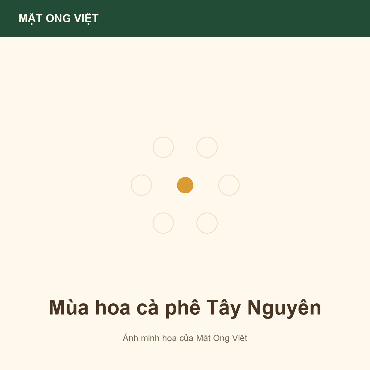 Mùa hoa cà phê Tây Nguyên và ảnh hưởng tới nguồn mật ong — ảnh bìa minh hoạ do Mật Ong Việt dựng, đúng chủ đề bài viết