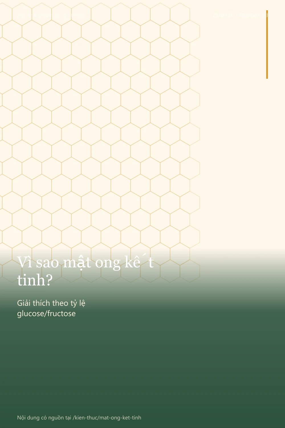 brand-pattern-pinterest - pinterest-2x3