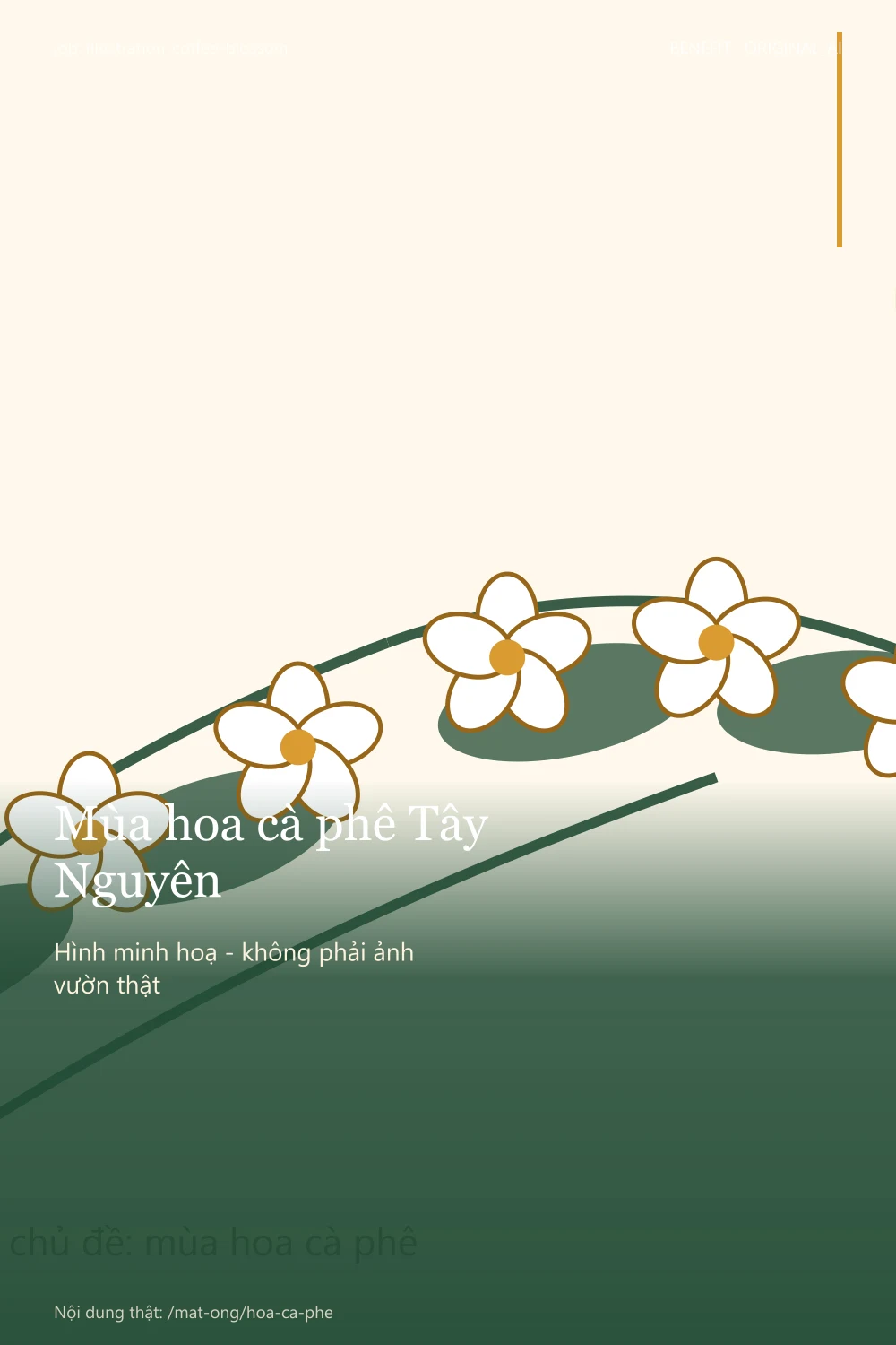 illustration-coffee-blossom - pinterest-2x3